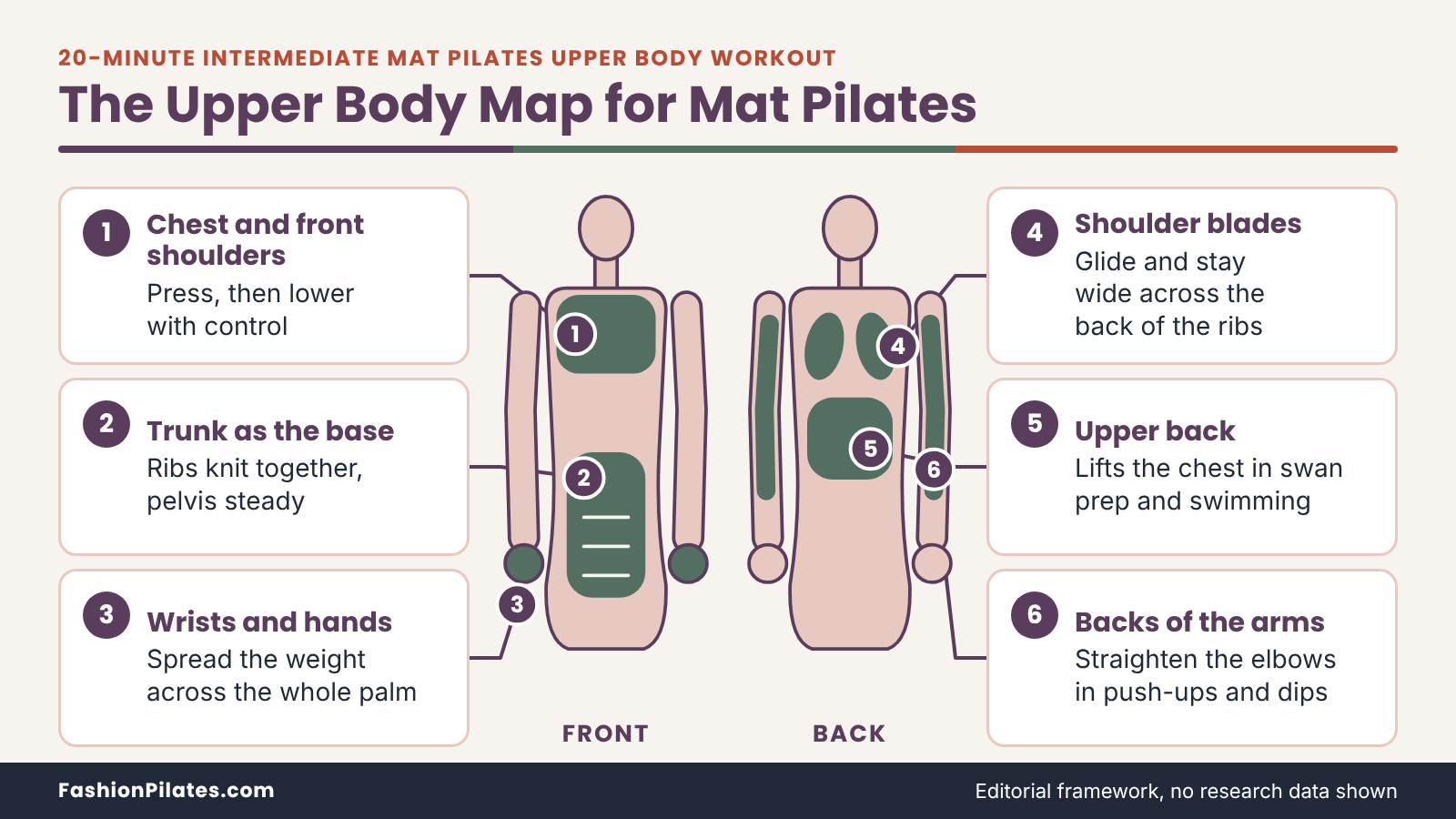 Front and back torso outline marking six areas that a 20 minute intermediate mat pilates upper body workout trains. 20-Minute Intermediate Mat Pilates Upper Body Workout