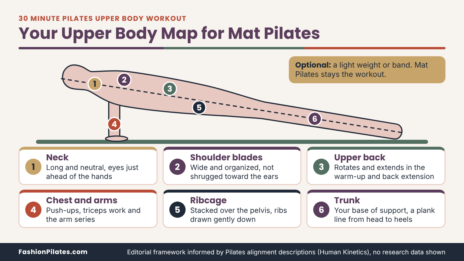 Side view of a plank with numbered labels for neck, shoulder blades, upper back, chest, arms, ribcage and trunk base